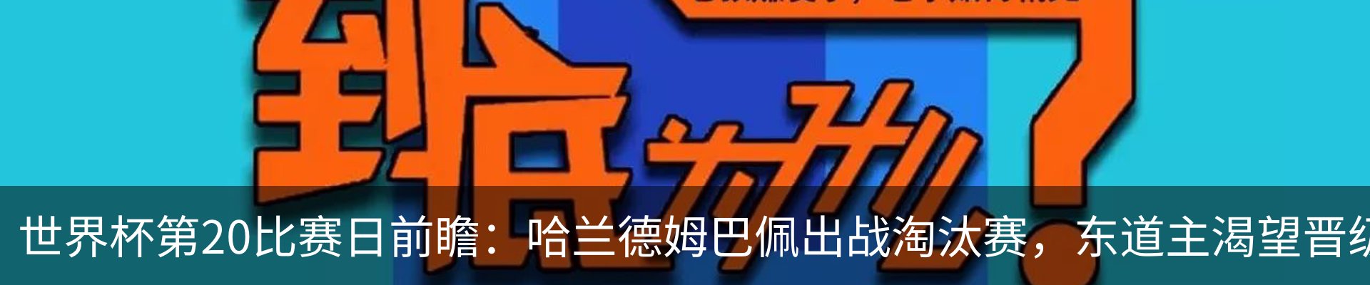 最新动态