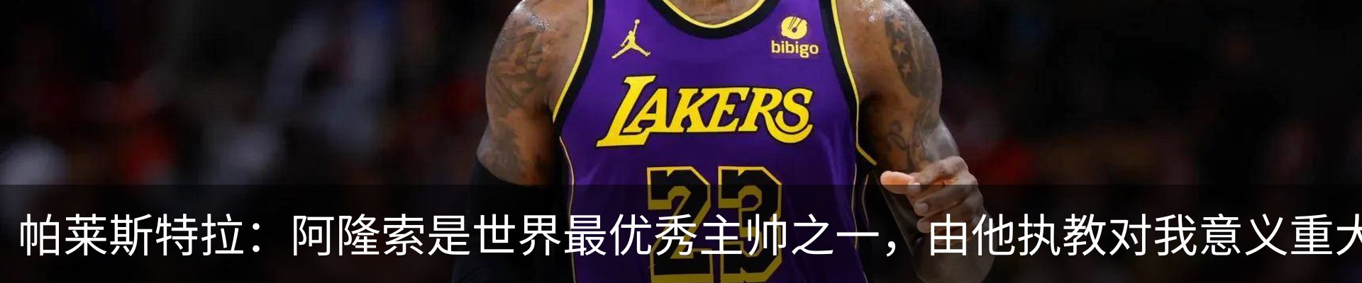 最新动态